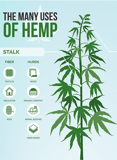 a chart showing the many uses of hemp